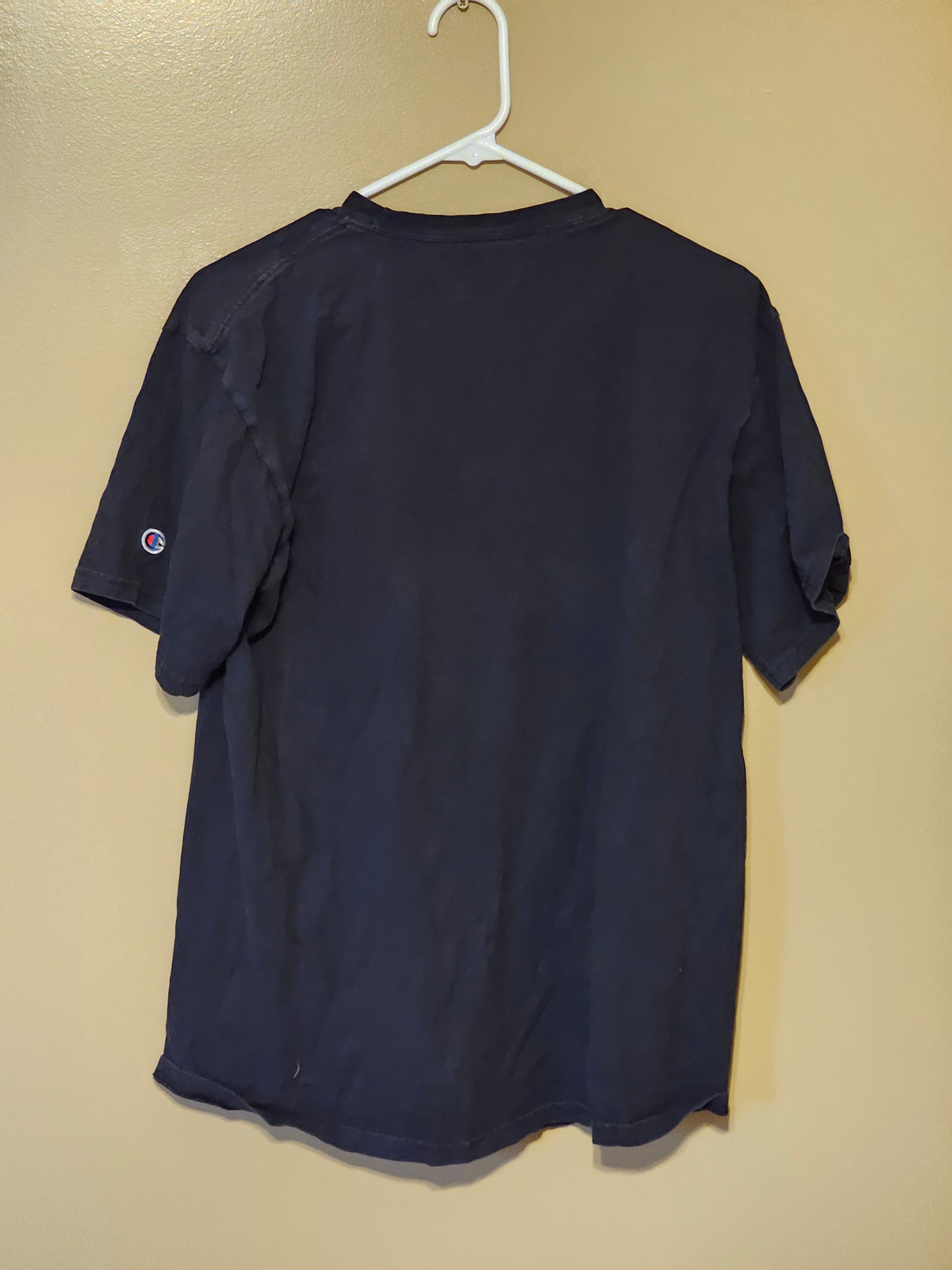 South Carolina Champion Shirt